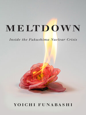 cover image of Meltdown
